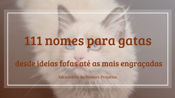 Nomes de gatos de filmes - lista completa  Nomes de gatos, Nomes de gato  macho, Nomes de animais