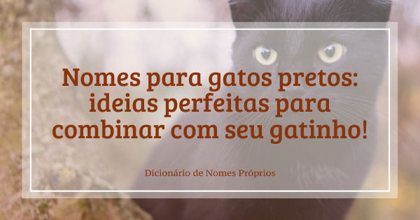 Nomes para gatos pretos: confira dicas e inspirações