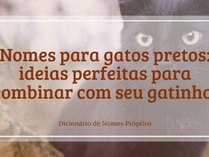 12 ideias de nomes para gato preto - NSC Total