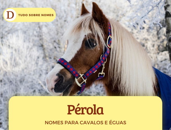 Nomes para cavalos e éguas: 234 ideias famosas, bonitas, em inglês, vitoriosas e engraçadas