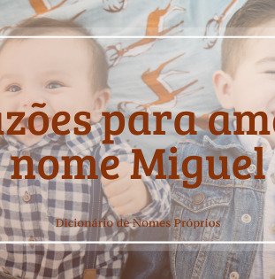 👪 → Qual o significado do nome Miguel Evangelico?