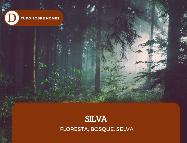 sobrenomes_silva