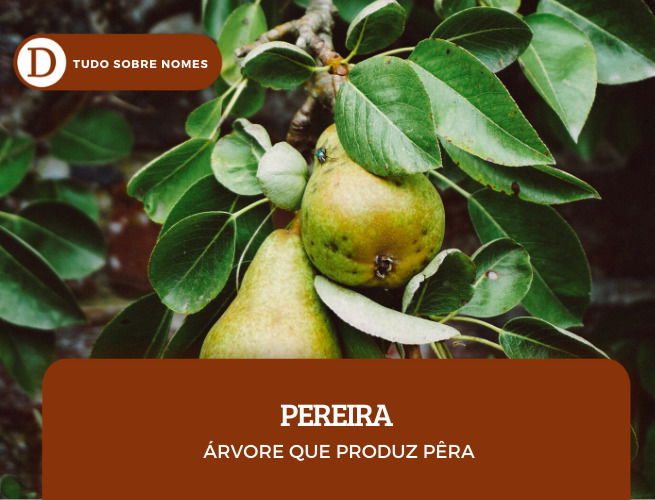 sobrenomes_pereira